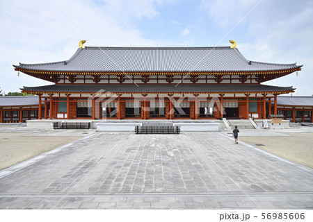 薬師寺 大講堂(奈良県奈良市) 薬師寺 大講堂(奈良県奈良市) 56985606