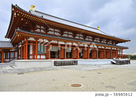 薬師寺 大講堂(奈良県奈良市) 薬師寺 大講堂(奈良県奈良市) 56985612