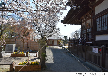 遊行寺 藤沢市 遊行寺 藤沢市 56985651