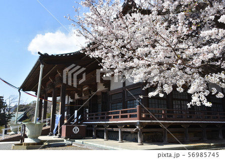 遊行寺　藤沢市 56985745