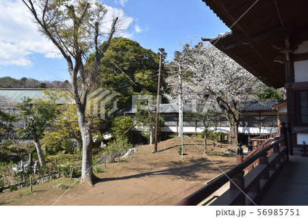 遊行寺 藤沢市 遊行寺 藤沢市 56985751