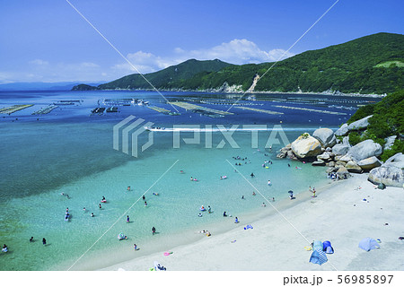 純白ビーチの白浜と海水浴 56985897