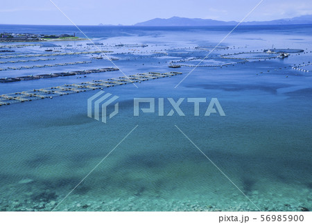 エメラルドグリーンの柏島の海の写真素材