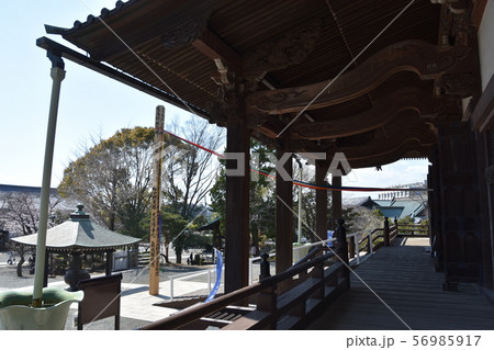 遊行寺　藤沢市 56985917