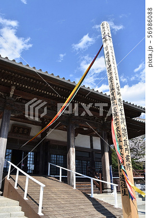 遊行寺　藤沢市 56986088