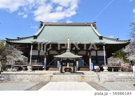 遊行寺　藤沢市 56986184