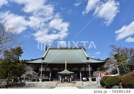 遊行寺 藤沢市 遊行寺 藤沢市 56986188