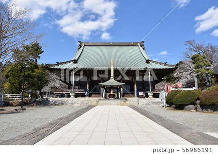 遊行寺 藤沢市 遊行寺 藤沢市 56986191