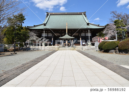 遊行寺　藤沢市 56986192