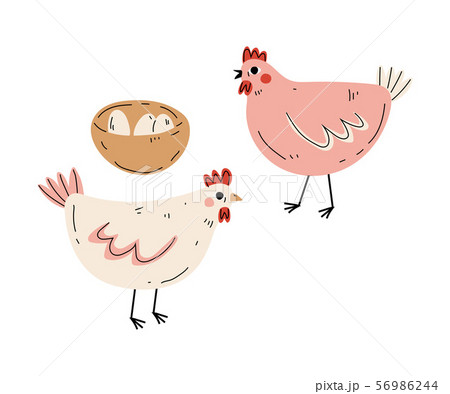 Hens and Eggs, Agriculture, Poultry Breeding at Farm Vector Illustration 56986244