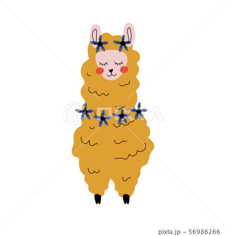 Cute Llama Adorable Alpaca Animal Character のイラスト素材