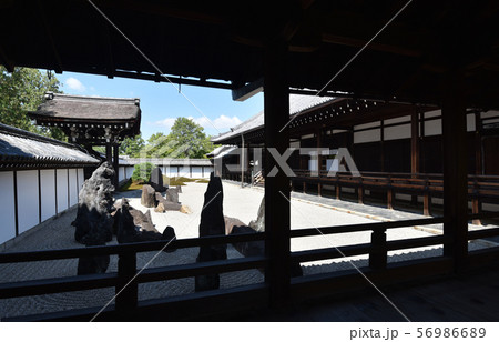 東福寺 南庭 東福寺 南庭 56986689