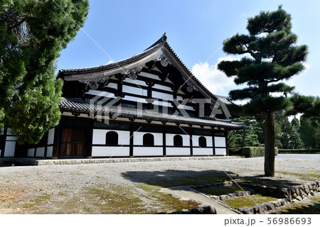 東福寺 禅堂 東福寺 禅堂 56986693