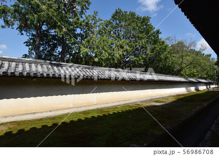 東福寺　土塀 56986708