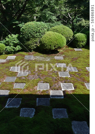 東福寺　北庭 56986891