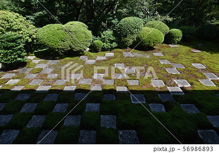 東福寺 北庭 東福寺 北庭 56986893