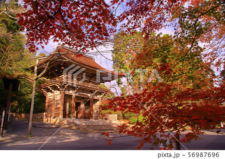 三井寺（滋賀県大津市）境内の紅葉 56987696