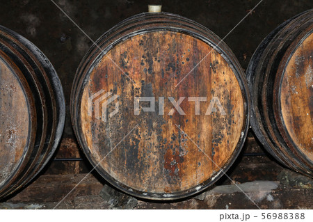 Rows of oak wood wine barrels in winery cellar 56988388