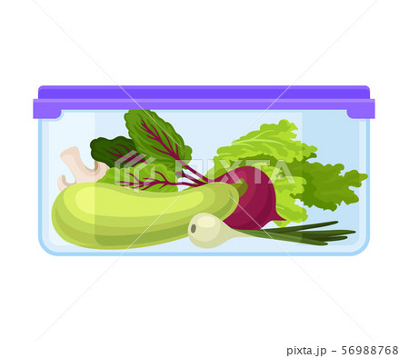 ontainer with fresh vegetables under a purple lid. Vector illustration on a white background. ontainer with fresh vegetables under a purple lid. Vector illustration on a white background. 56988768