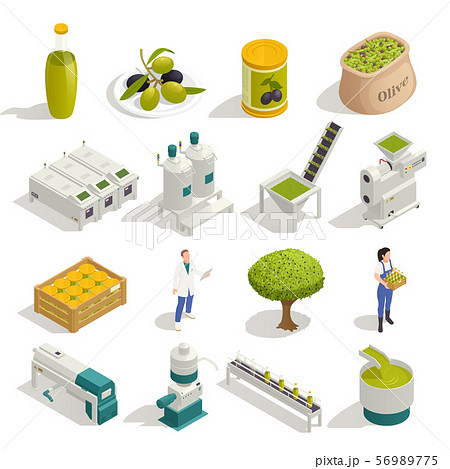 Olive Production Isometric Set 56989775
