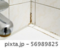 Mould in a bathroom 56989825