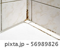 Mould in a bathroom 56989826