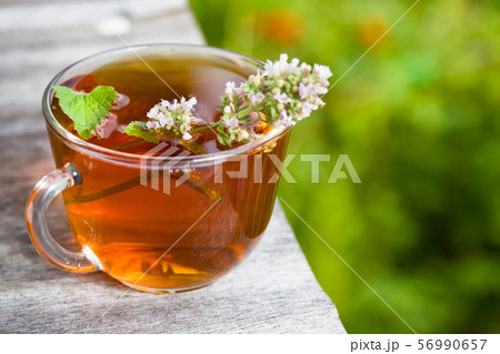 Fresh tasty hot tea with melissa outdoor  56990657