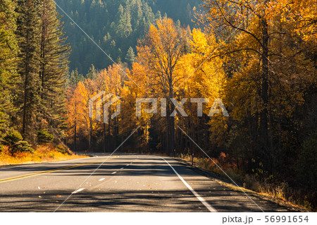 Mountain road surrounded by trees with autumnal colors in Liberty Mountain road surrounded by trees with autumnal colors in Liberty 56991654