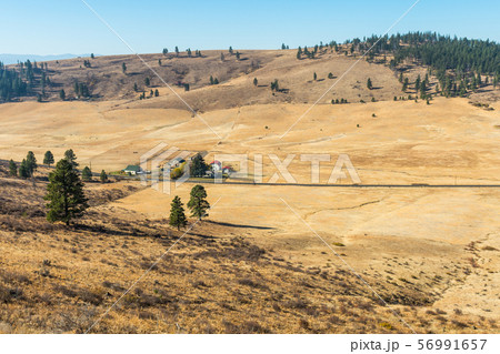 Landscape of the plain in Hidden Valley with yellowish soil and some trees and ranches in Cle Elum Landscape of the plain in Hidden Valley with yellowish soil and some trees and ranches in Cle Elum 56991657