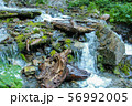 Mountain river with tree logs and stones.. 56992005