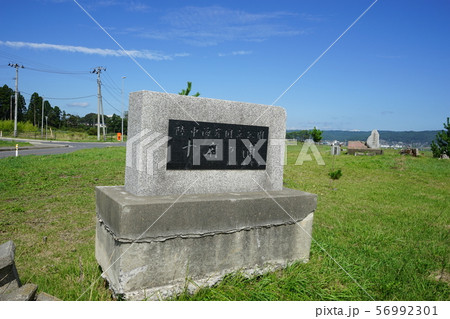 三陸ジオパーク十府ヶ浦海岸 三陸ジオパーク十府ヶ浦海岸 56992301
