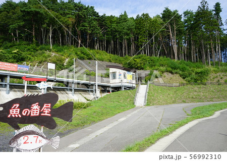 三陸ジオパーク十府ヶ浦海岸駅 56992310