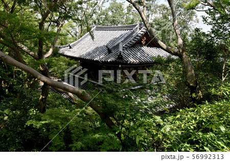 山崎聖天 山門 山崎聖天 山門 56992313
