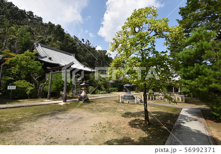 山崎聖天 境内 山崎聖天 境内 56992371