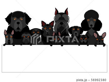 ボードを持つ黒い犬のグループのイラスト素材 56992380 Pixta