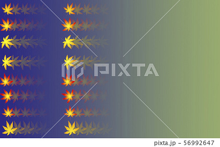 モミジの彩(3) 56992647