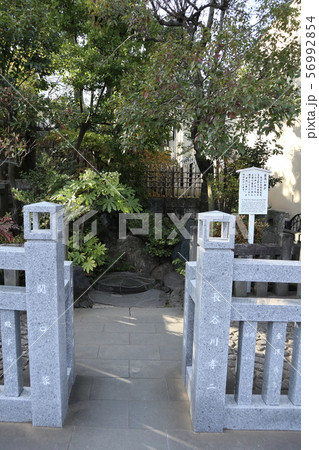 泉岳寺　首洗い井戸 56992854