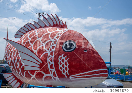 Shin島日本ならビーチで発泡スチロールで作った赤魚。 Shin島日本ならビーチで発泡スチロールで作った赤魚。 56992870