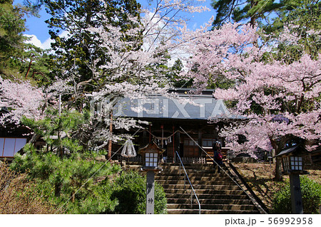 春の土津神社（福島県・猪苗代町） 56992958