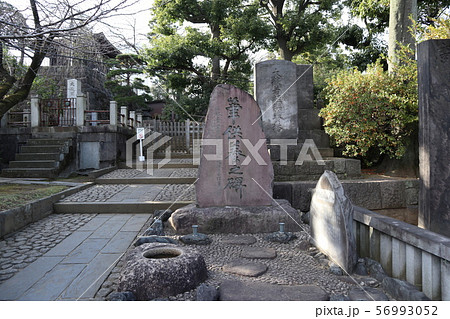 泉岳寺 義士墓入口の門 泉岳寺 義士墓入口の門 56993052