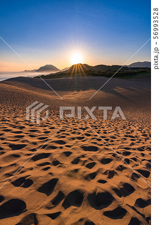 《鳥取県》鳥取砂丘の夜明け 56993528