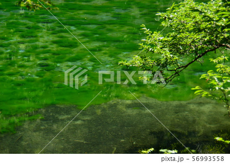 神秘の池龍が窪 56993558