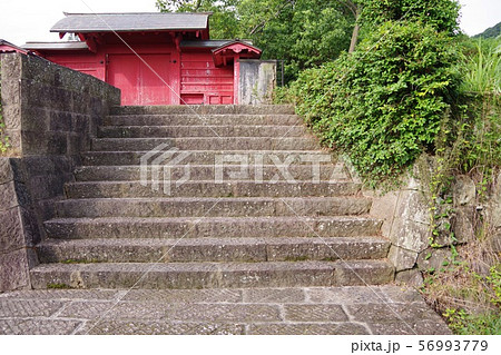 国分城 56993779