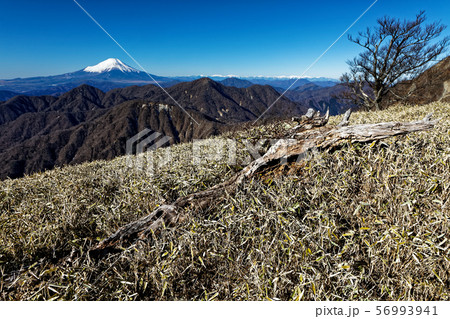 丹沢主脈から見る富士山と南アルプスの山並み 56993941