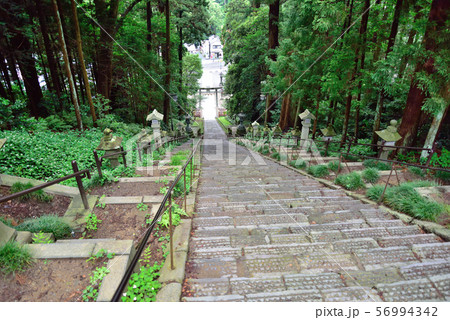 塩釜神社　男坂 56994342