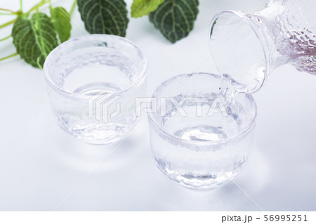 日本酒　冷酒 56995251