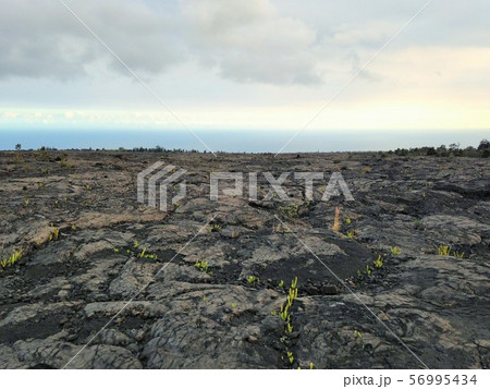 溶岩の大地 56995434