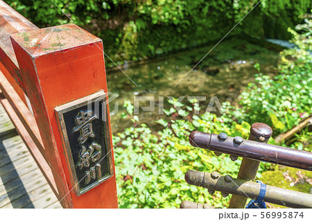 夏の貴船川 京都 夏の貴船川 京都 56995874