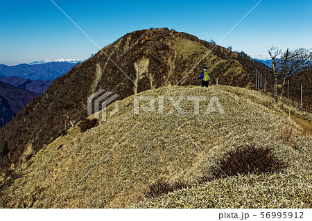 冬の丹沢稜線を蛭ヶへ向かう登山者 56995912