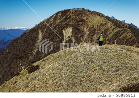 冬の丹沢稜線を蛭ヶへ向かう登山者 56995913